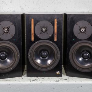 Enceinte passive de monitoring